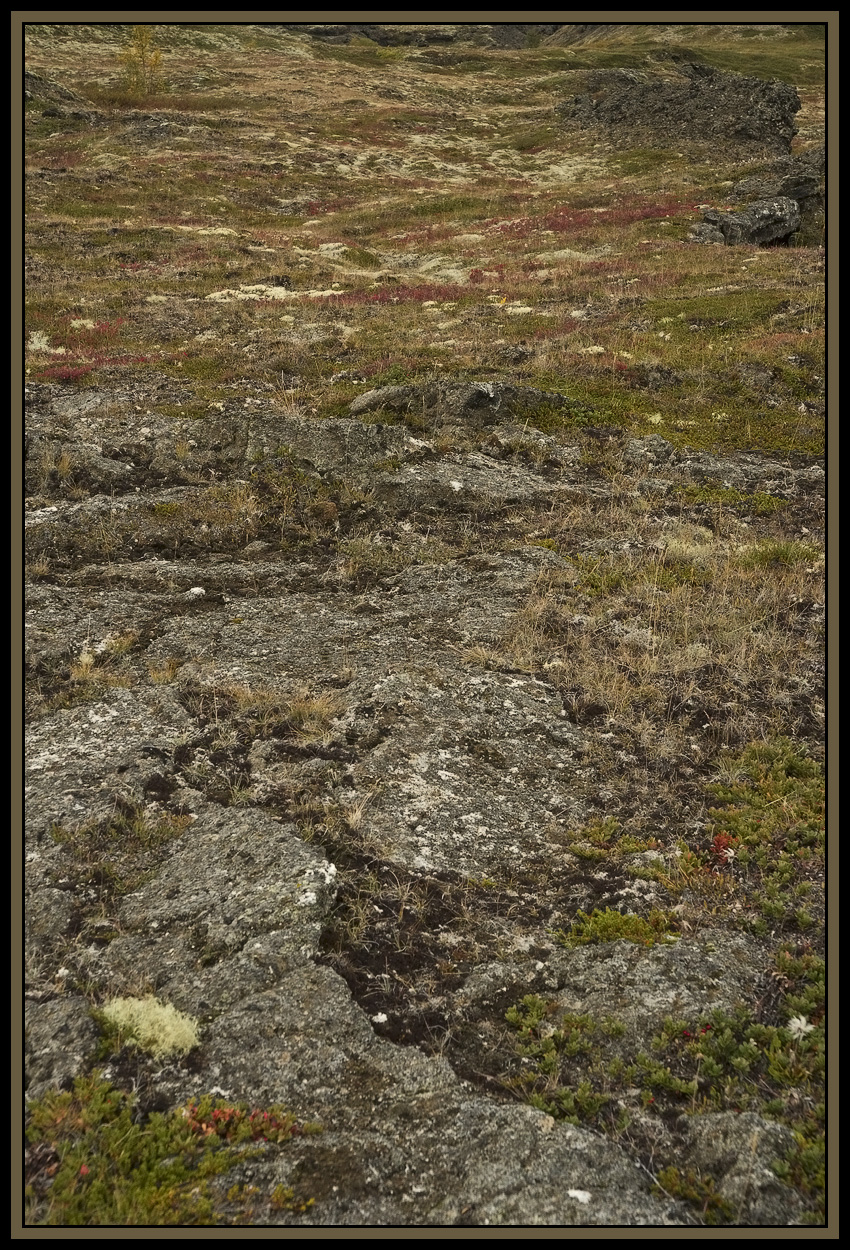 _K1P17594a