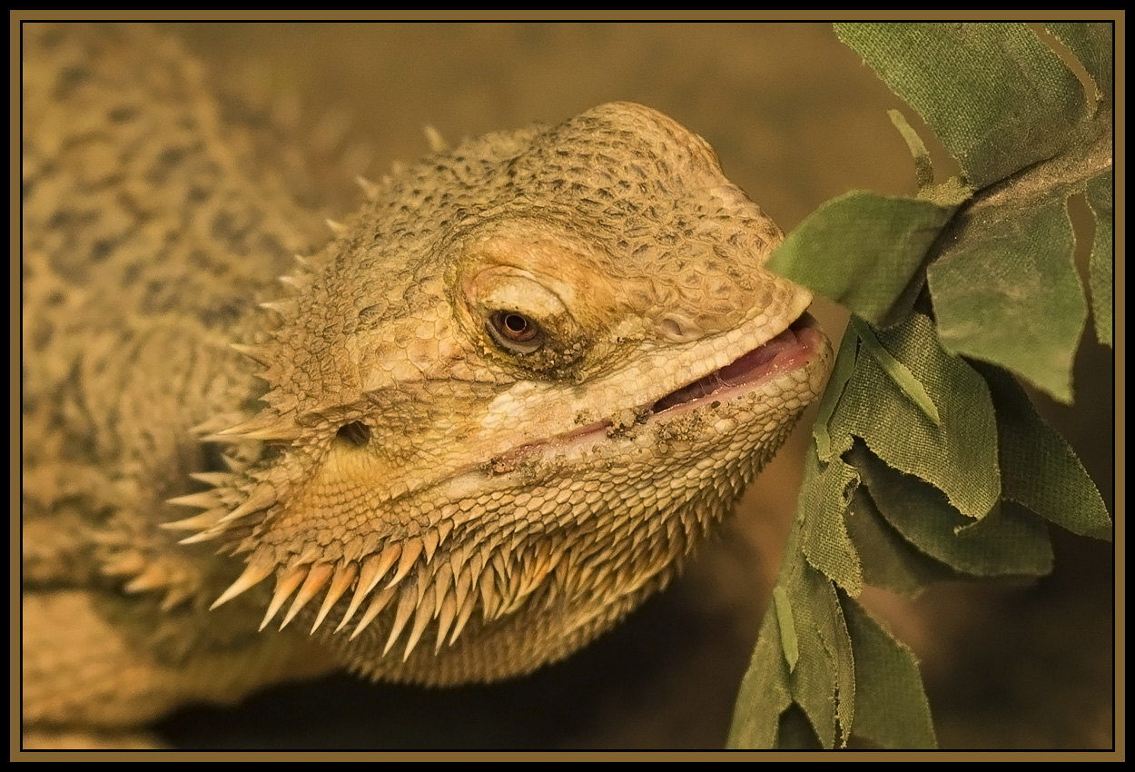 Close crop of the previous photo 