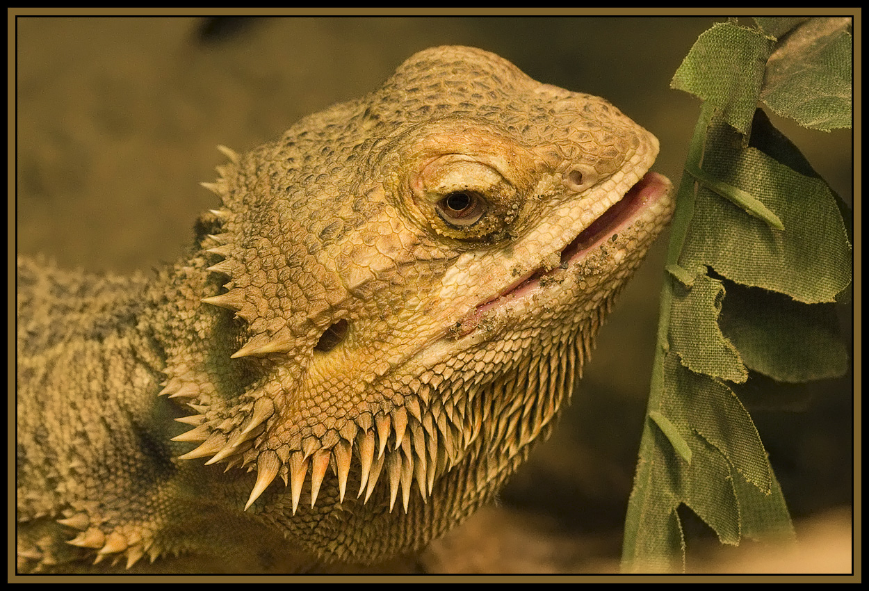 Close crop of the previous photo 