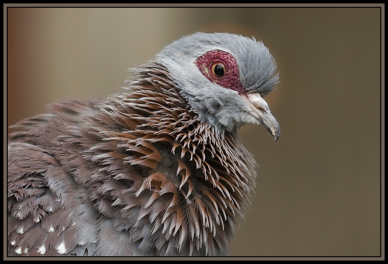 Close crop of the previous photo, view original to see the detail best 