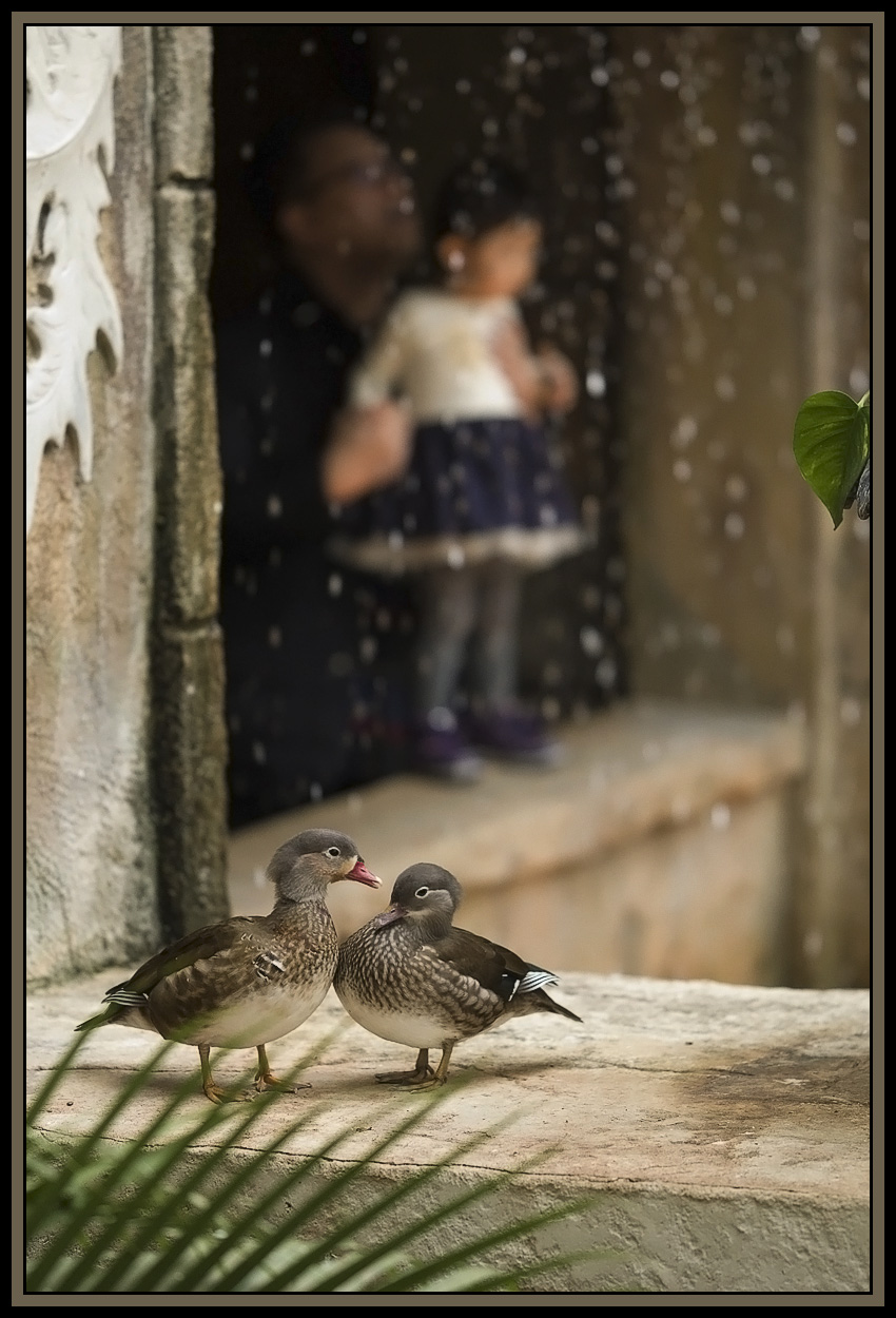 ditto with the previous shot 