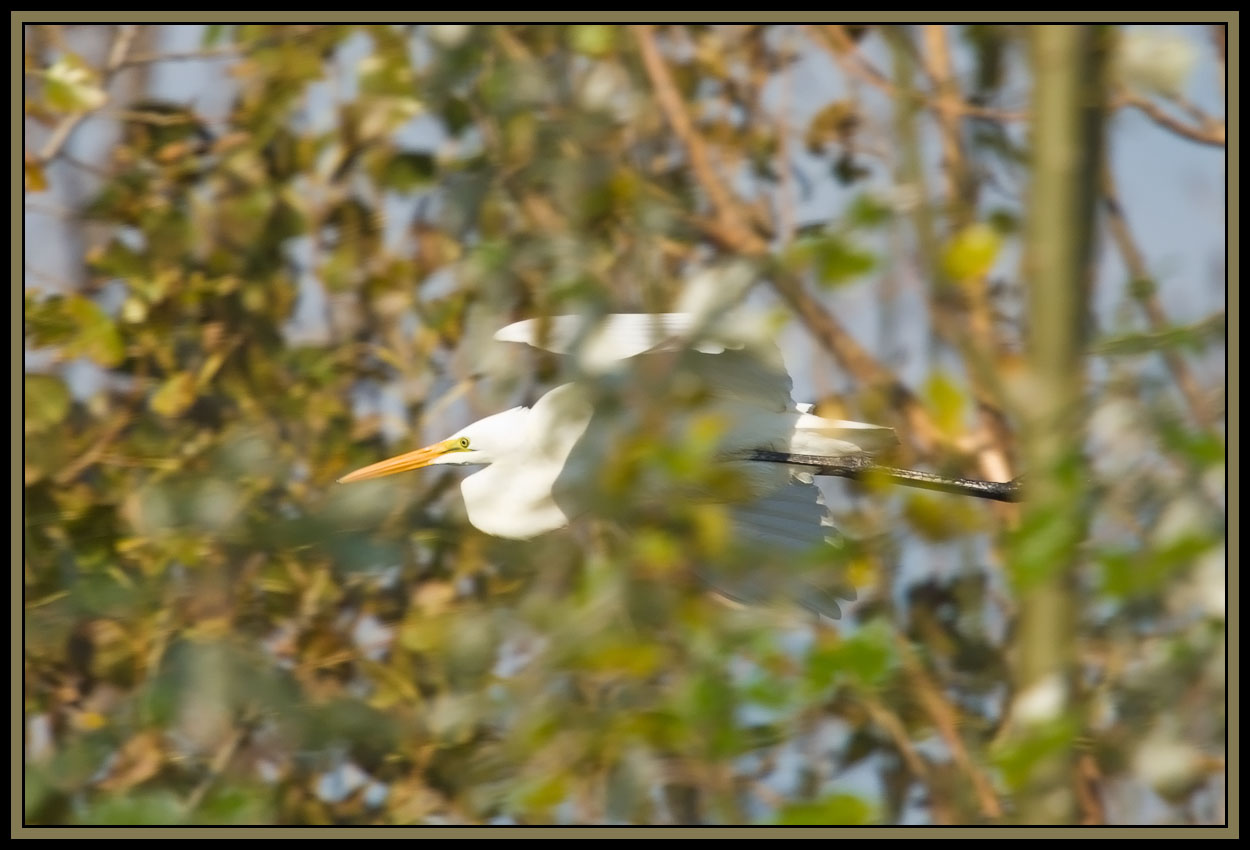 _K5AP15033a