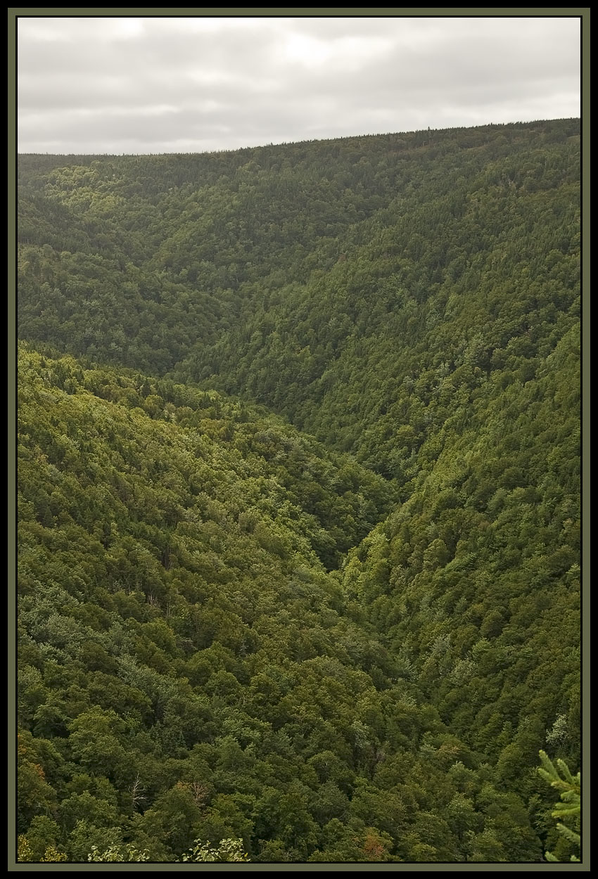 _K5AP27134a