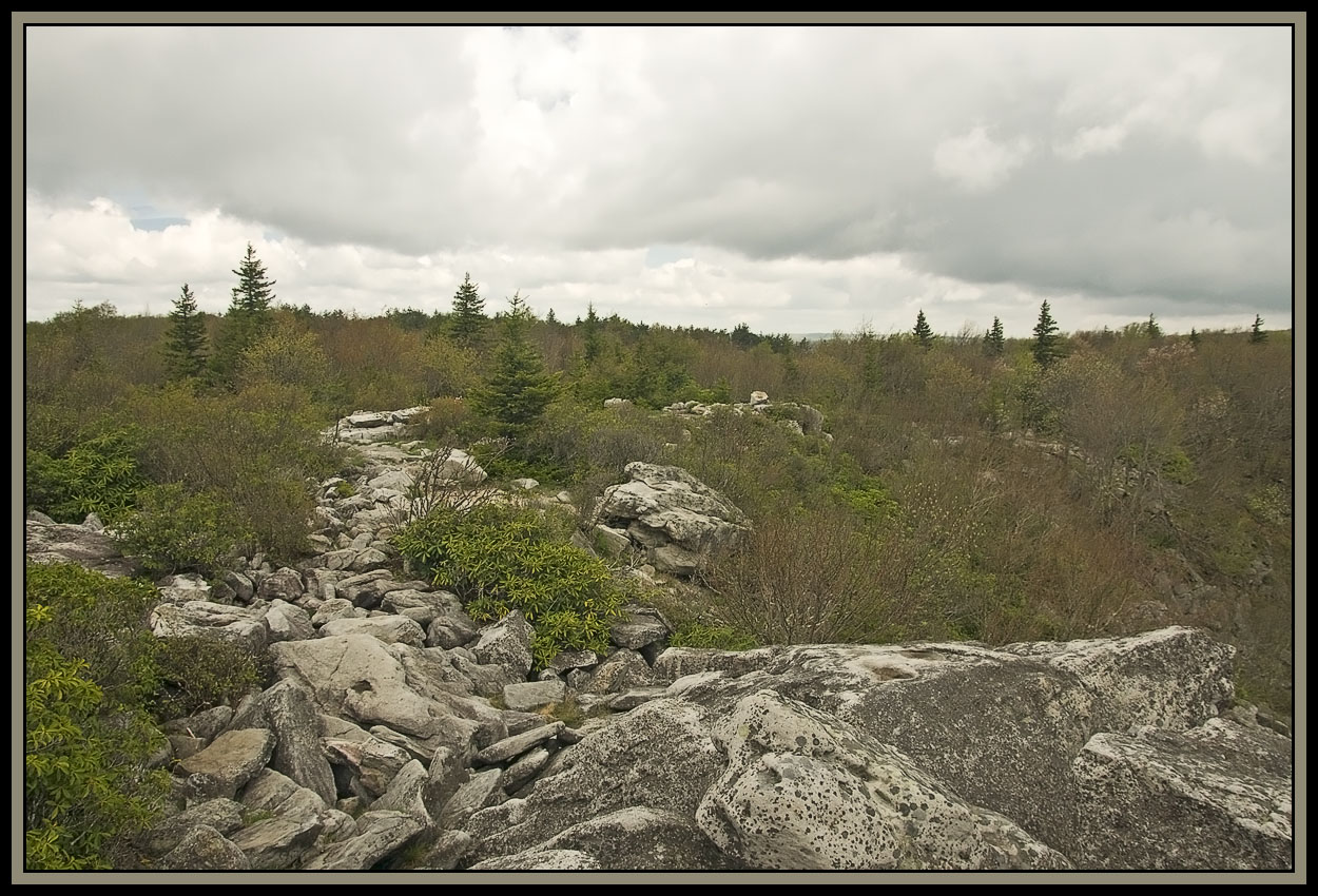 Dolly Sods (9 photos) Pentax SLR Talk Forum Digital Photography Review