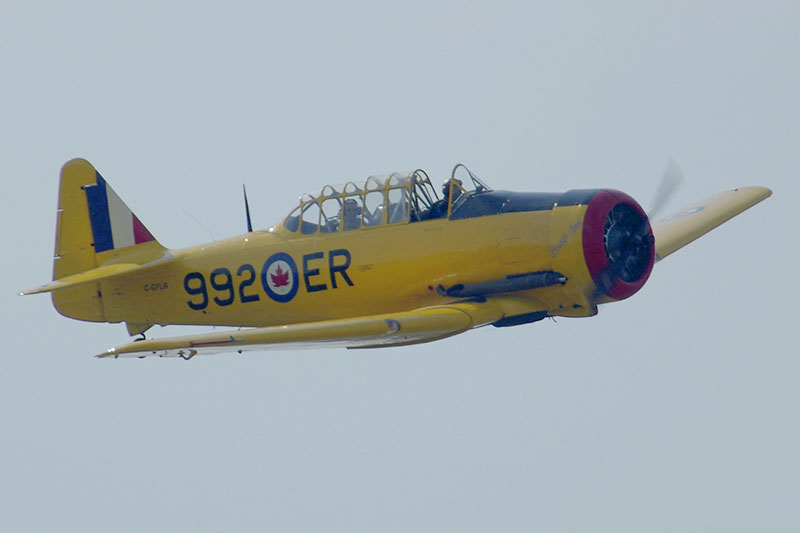 IMGQ16067f