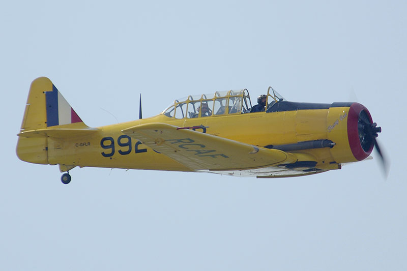 IMGQ16068f
