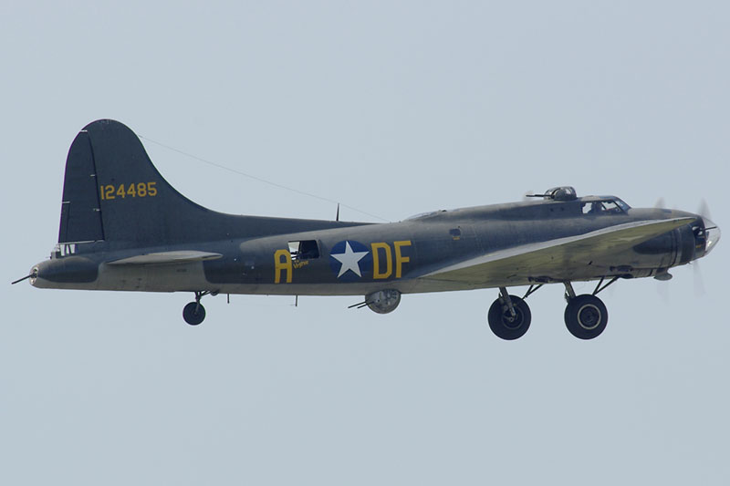 IMGQ16141f