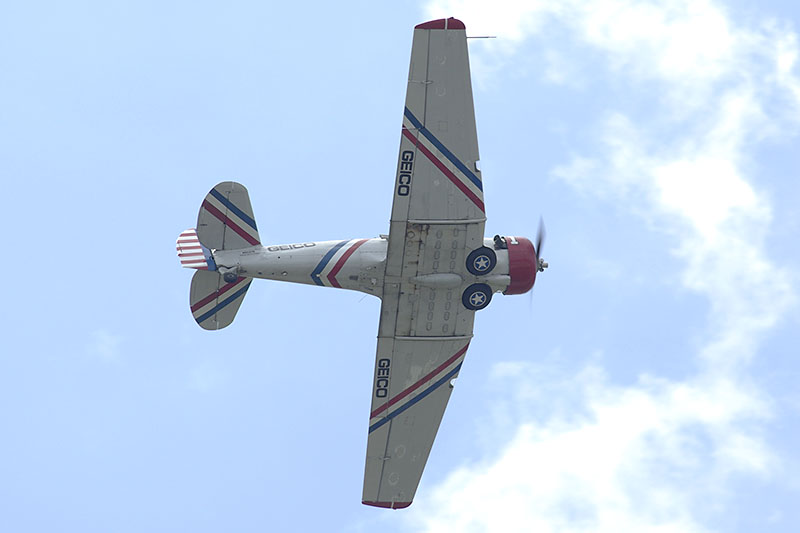 IMGQ16784f
