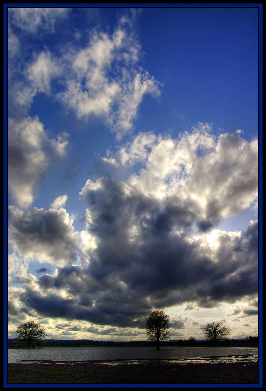 IMGP43447a