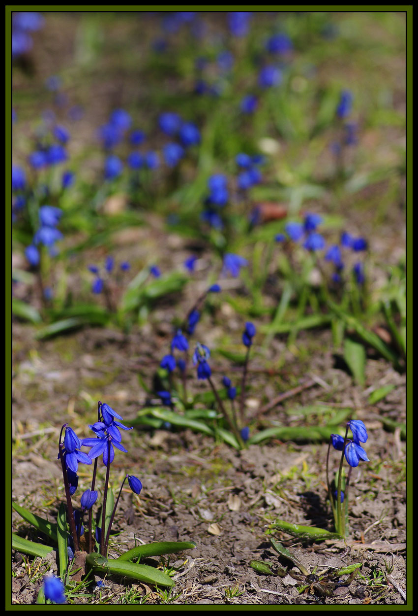 IMGP41397a