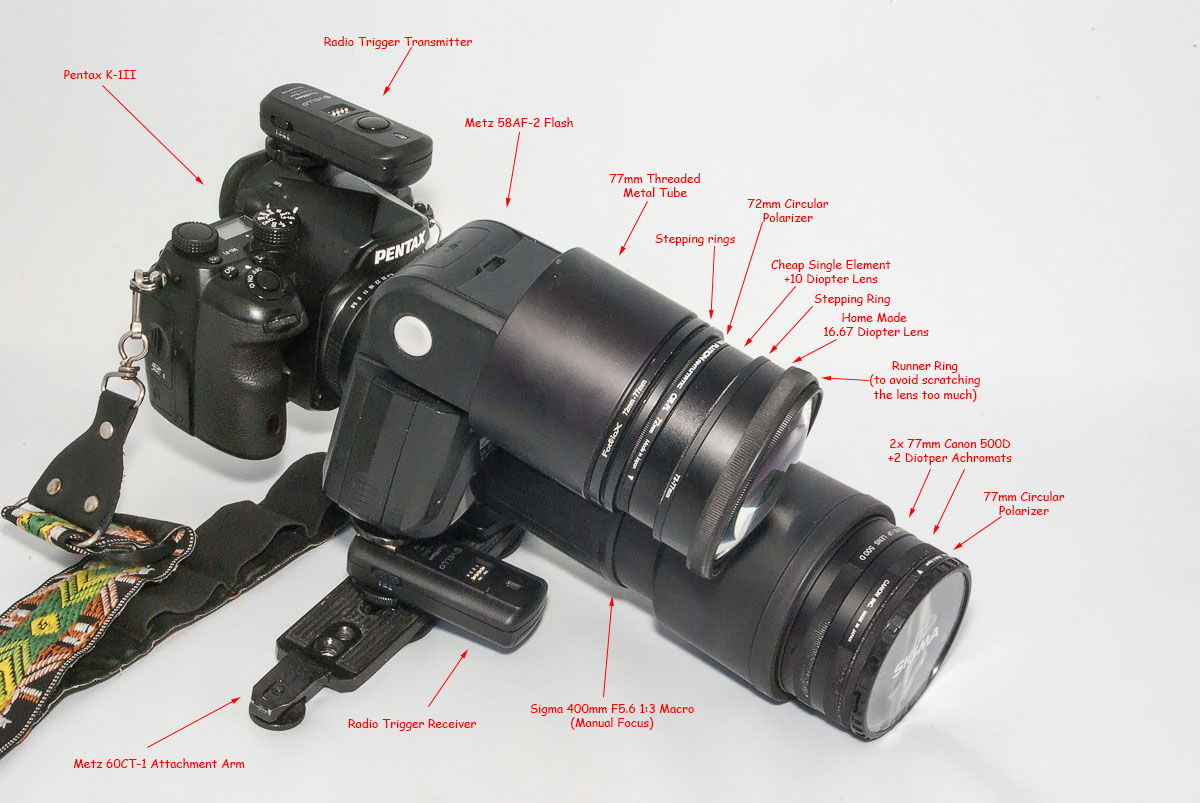 Modified Flash Rig Part 1 (Flying Insects) | DPReview Forums